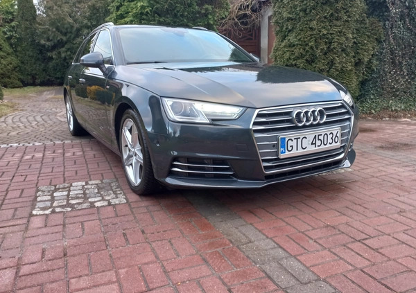 Audi A4 cena 66900 przebieg: 142000, rok produkcji 2016 z Tczew małe 232